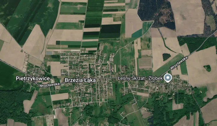 Działka budowlana Brzezia Łąka, ul. Kasztanowa