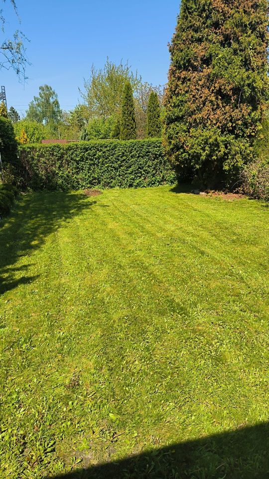 Działka rod Zabrze. Zdjęcie 5