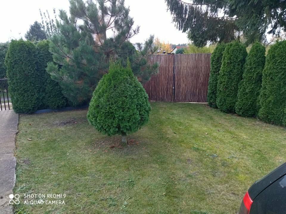 Działka rod Konin Wilków, ul. Świętojańska. Zdjęcie 9