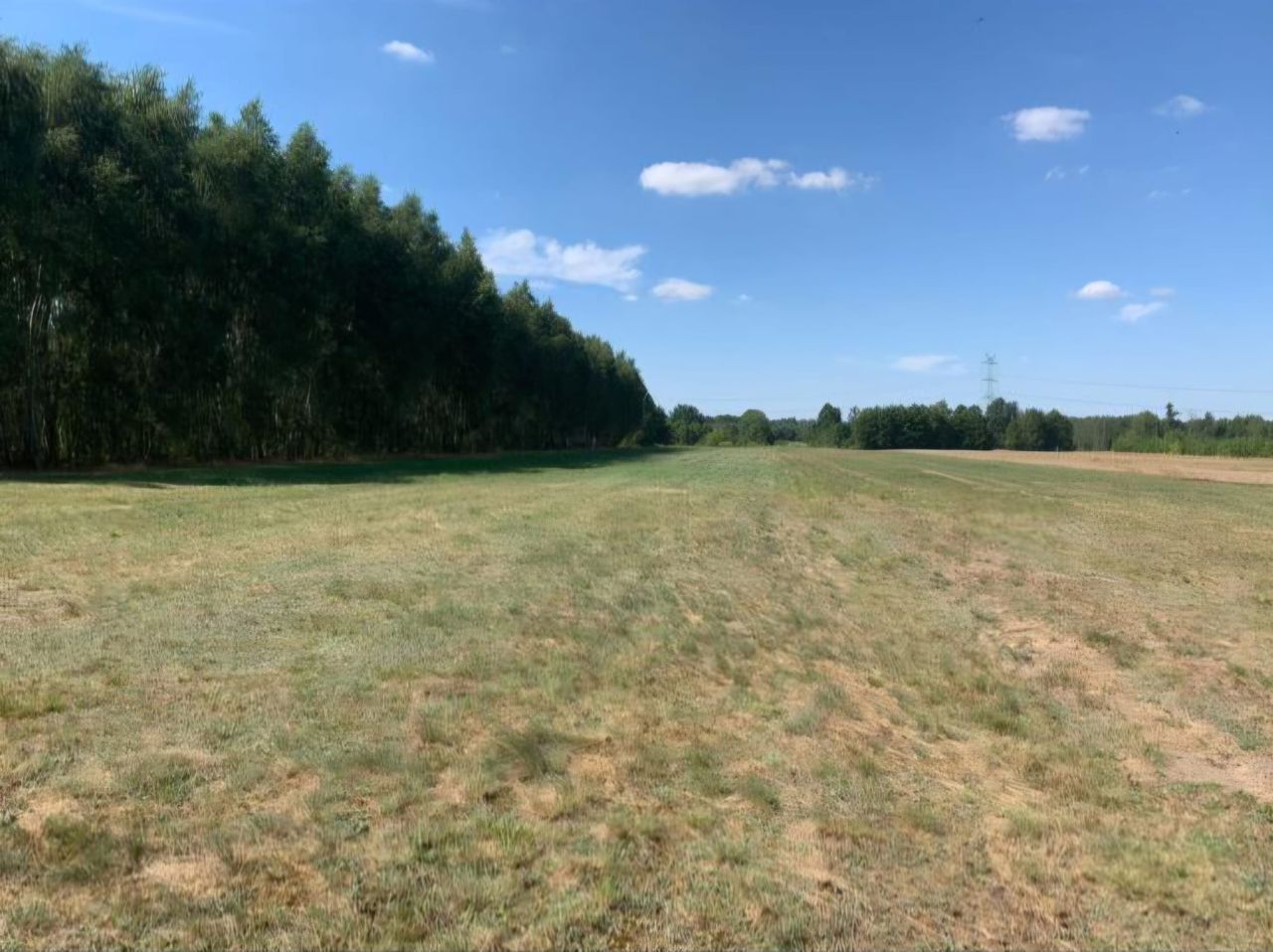 Działka rolno-budowlana Parma. Zdjęcie 8