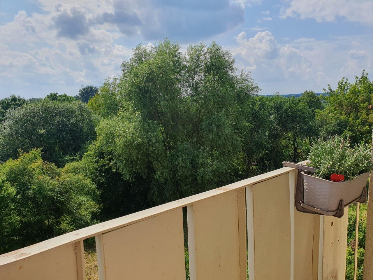 Mieszkanie 3-pokojowe Myszków Centrum, ul. 1 Maja. Zdjęcie 9