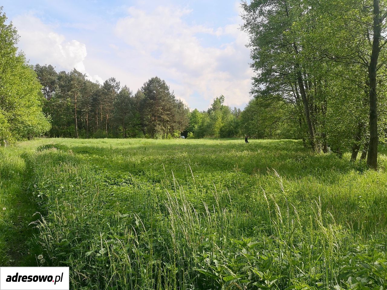 Działka rekreacyjna Ludwinów, ul. Rubinowa. Zdjęcie 2
