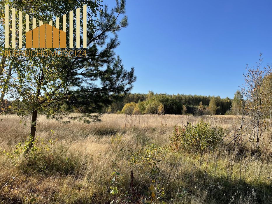 Działka inwestycyjna Anielew. Zdjęcie 3