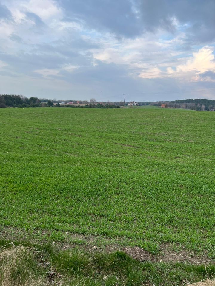 Działka rolno-budowlana Szafarnia. Zdjęcie 3