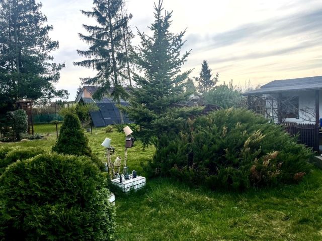 Działka rod Szałe. Zdjęcie 1