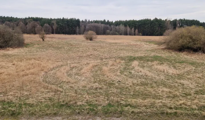 Działka rolna Brody