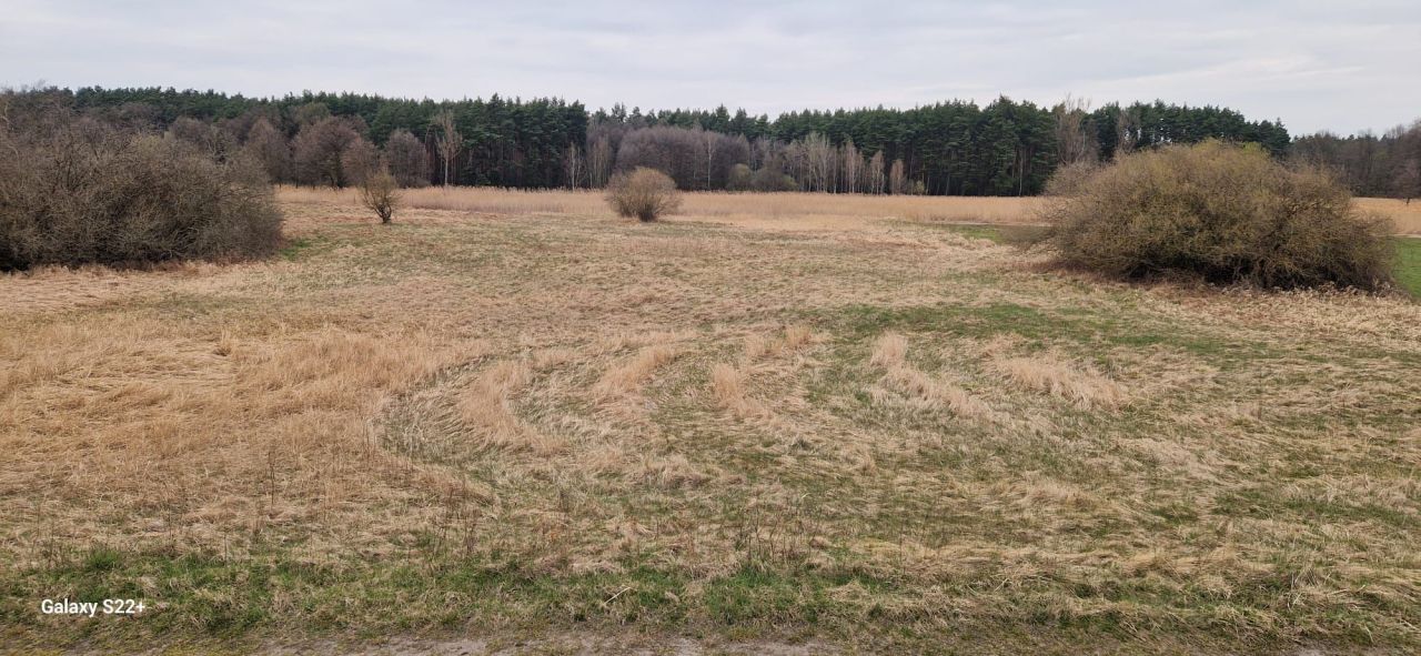 Działka rolna Brody. Zdjęcie 1