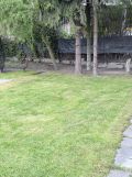 Działka rod Katowice Janów. Zdjęcie 1