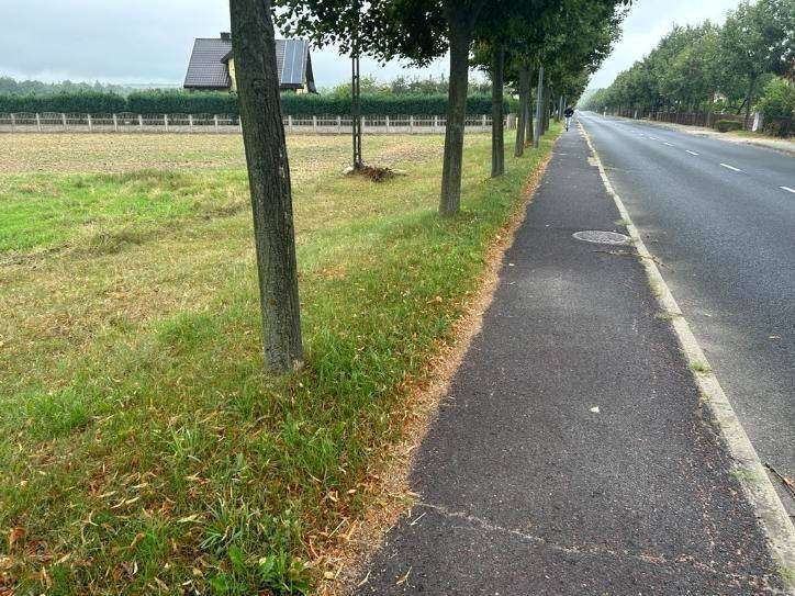 Działka budowlana Łękińsko, ul. Szkolna. Zdjęcie 2