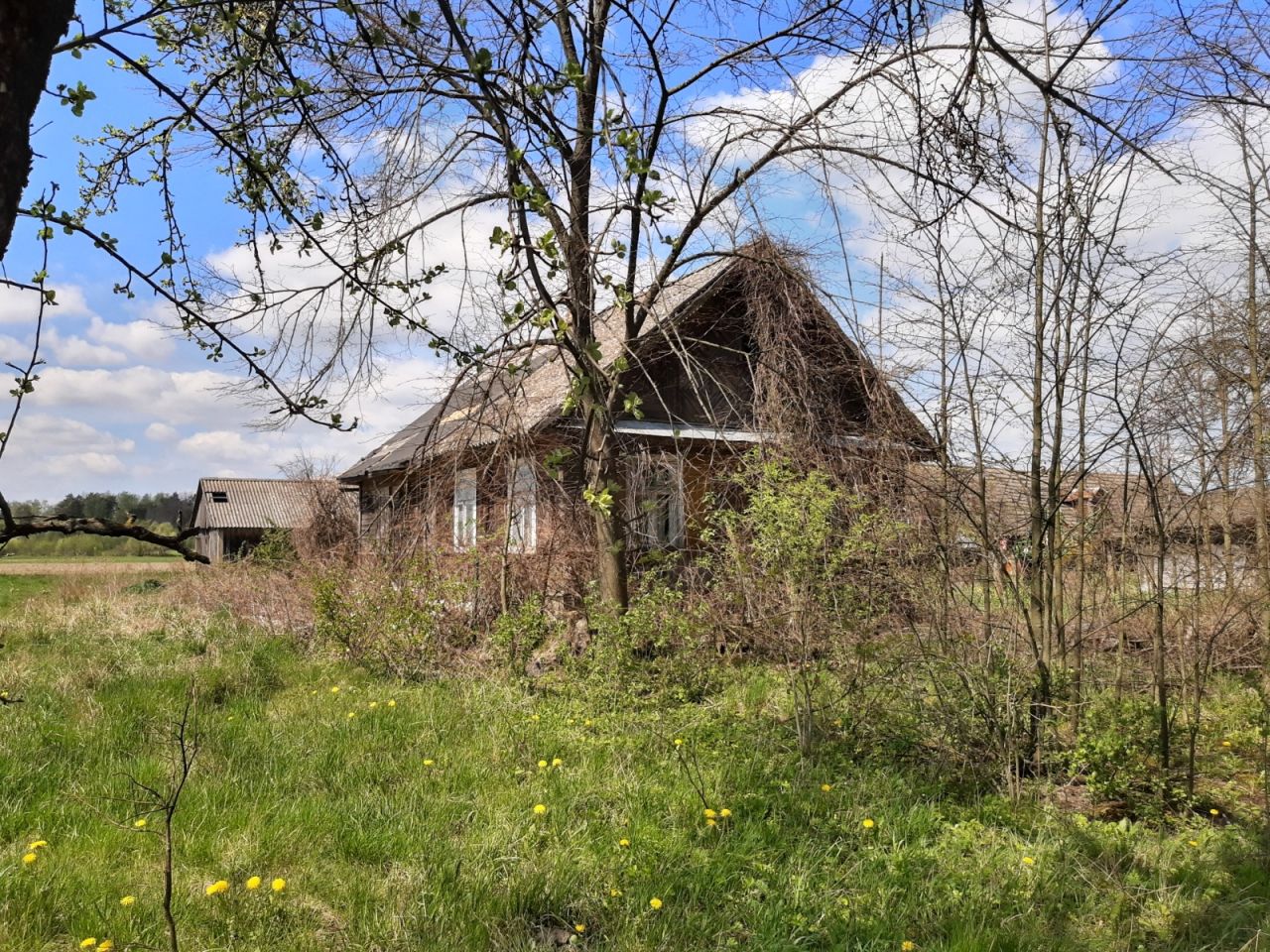 Działka rolno-budowlana Folwarki Wielkie. Zdjęcie 6