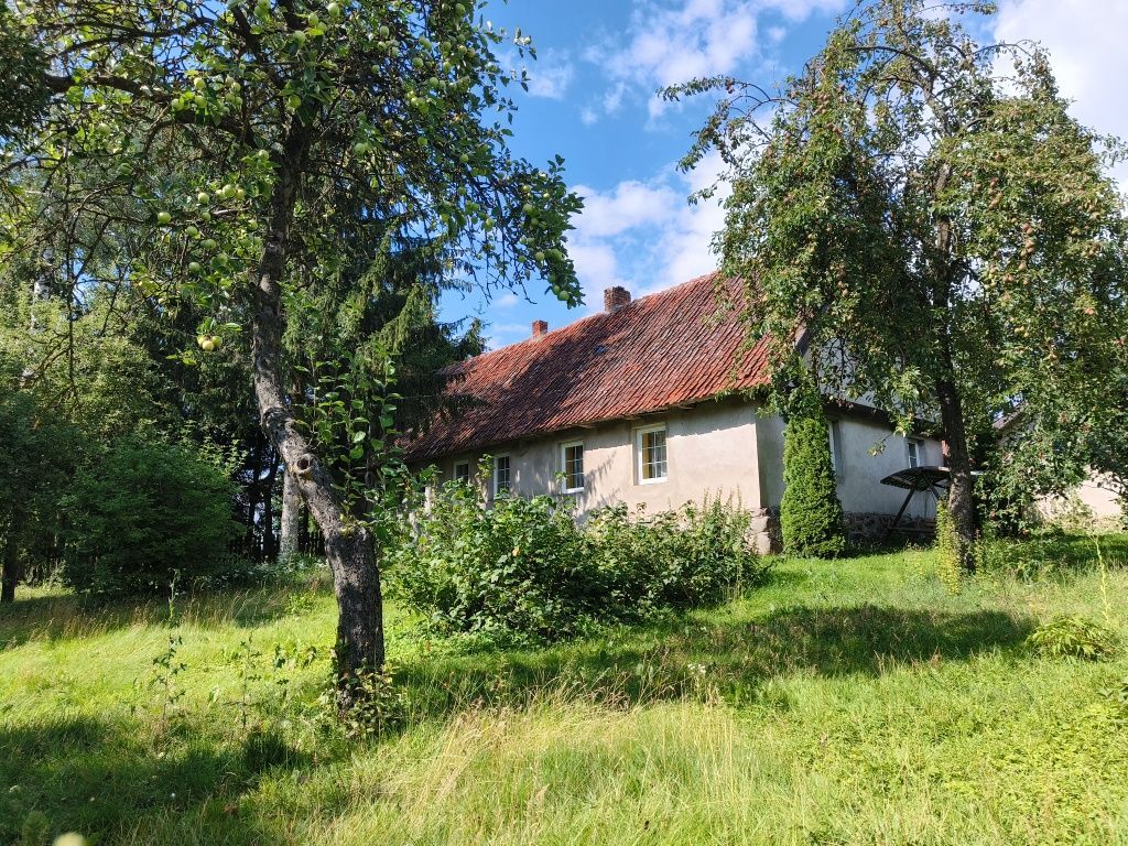 siedlisko, 4 pokoje Giże. Zdjęcie 4