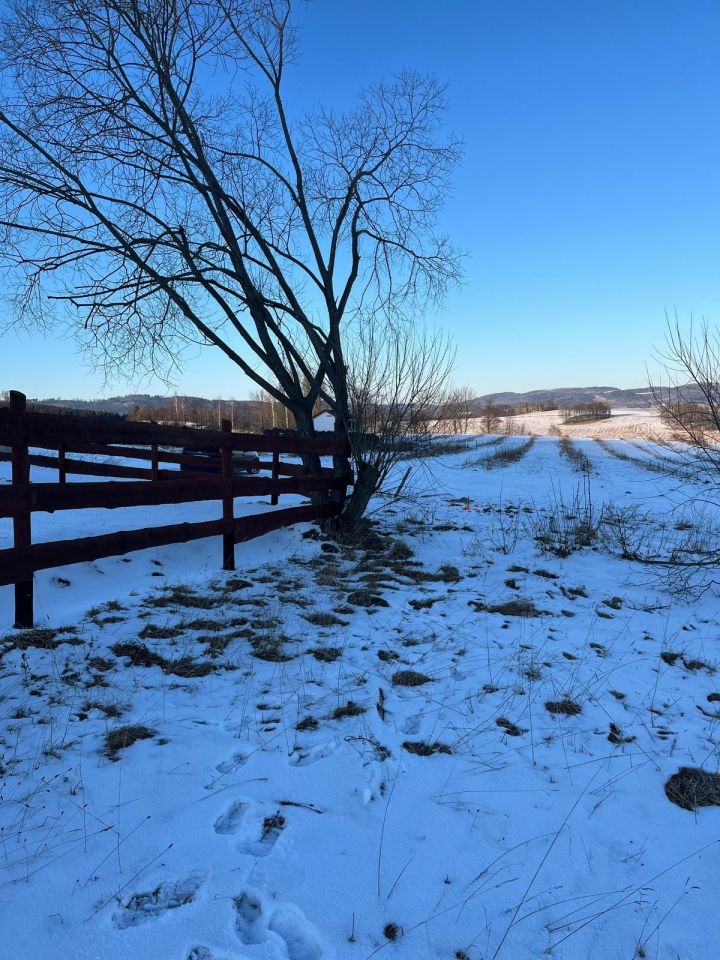 Działka budowlana Wieściszowice. Zdjęcie 2