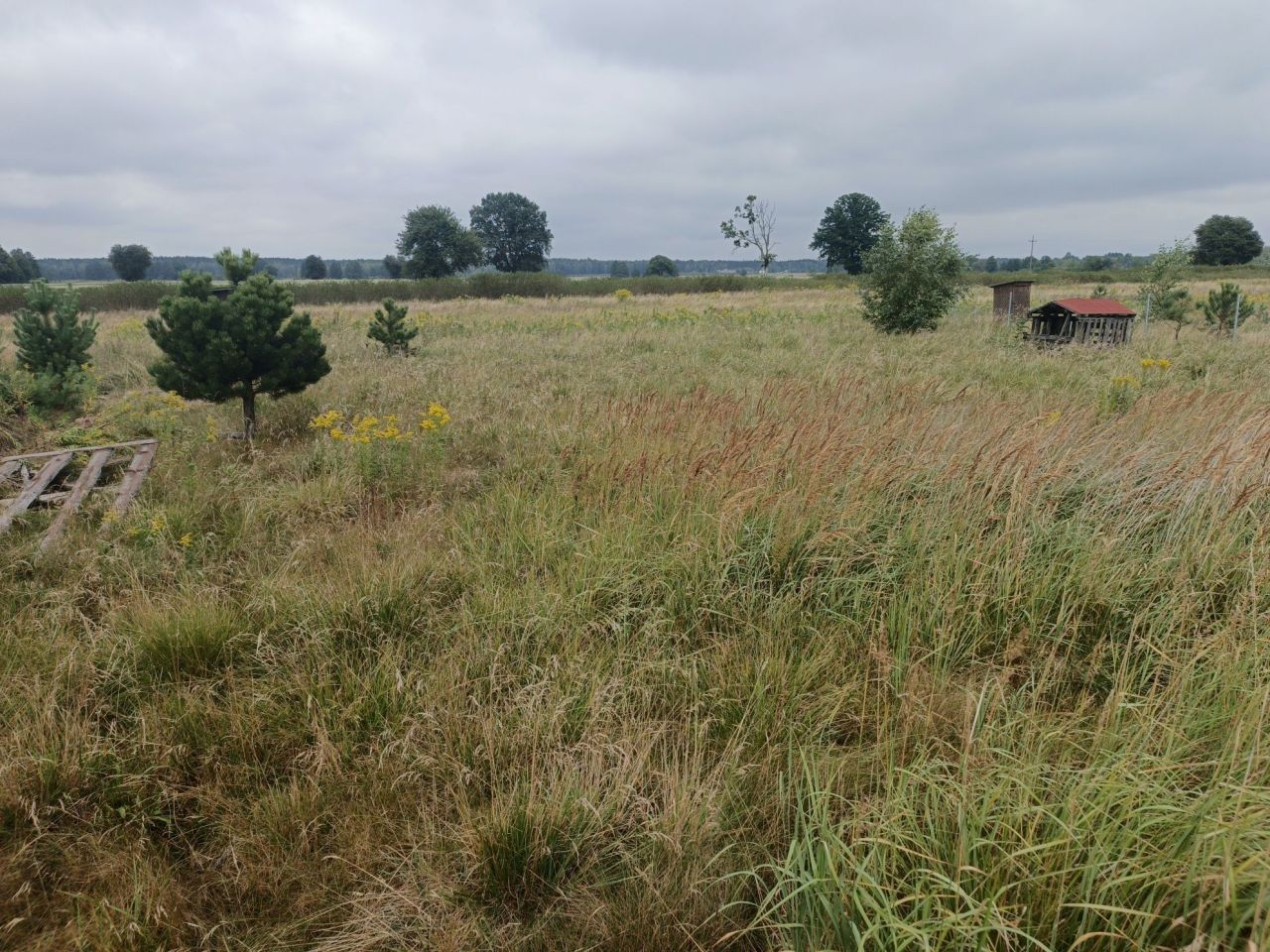 Działka budowlana Budy Augustowskie