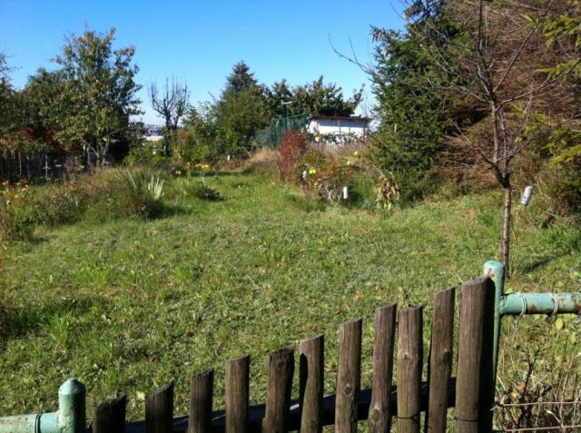 Działka rod Gdańsk, ul. Wołkowyska. Zdjęcie 1