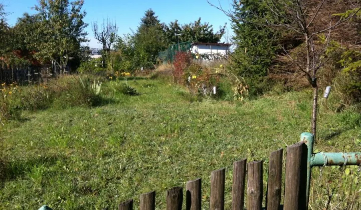 Działka rod Gdańsk, ul. Wołkowyska