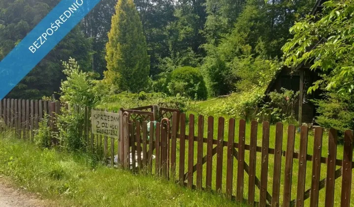 Działka rod Olszanka