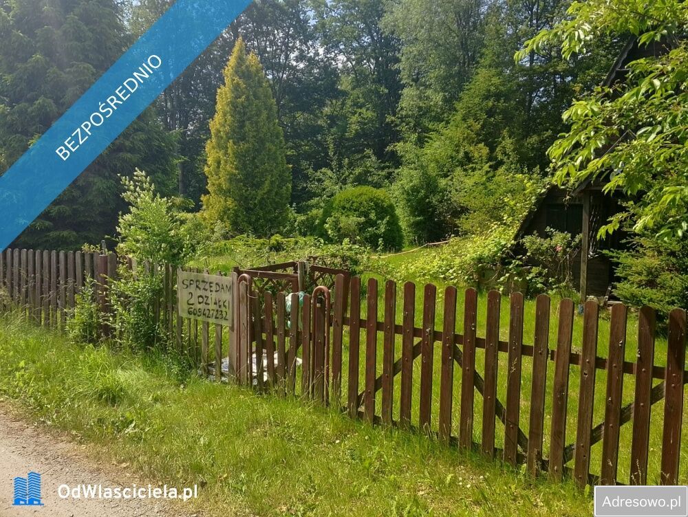 Działka rod Olszanka. Zdjęcie 1