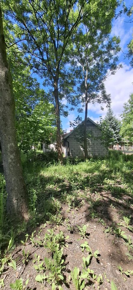 Działka siedliskowa Stara Prawda. Zdjęcie 7