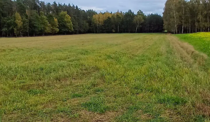 Działka rolna Bońkowo Podleśne