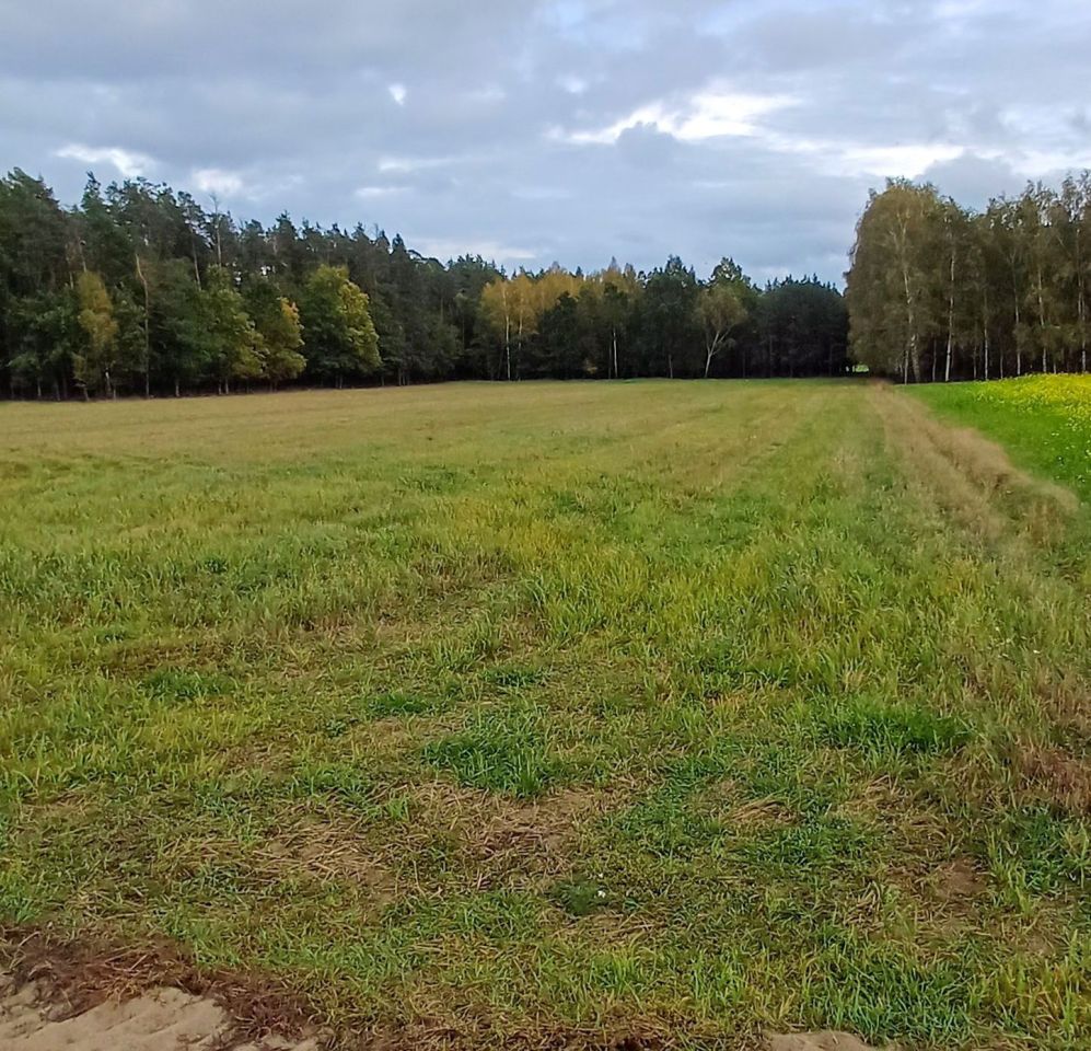 Działka rolna Bońkowo Podleśne. Zdjęcie 1