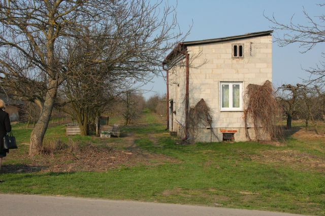 Działka rolna Braciejowice Płaskie. Zdjęcie 1