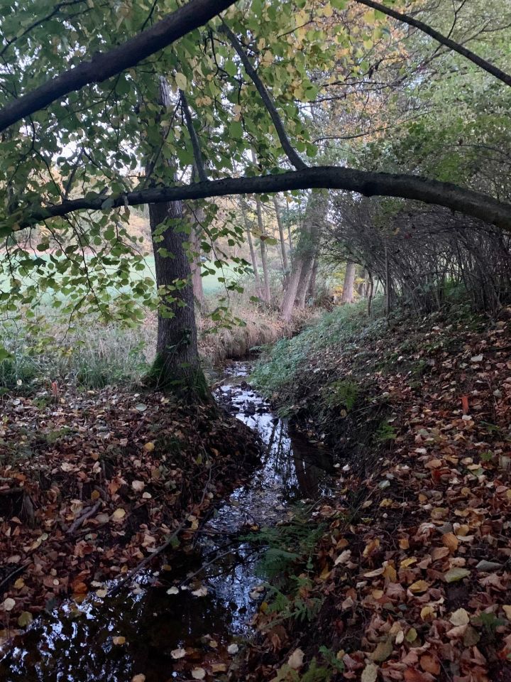 dom wolnostojący, 5 pokoi Gradówek. Zdjęcie 4