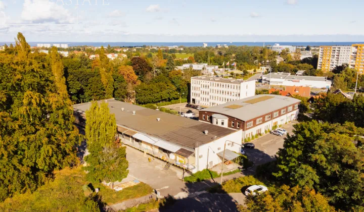 Lokal Sopot, al. Niepodległości