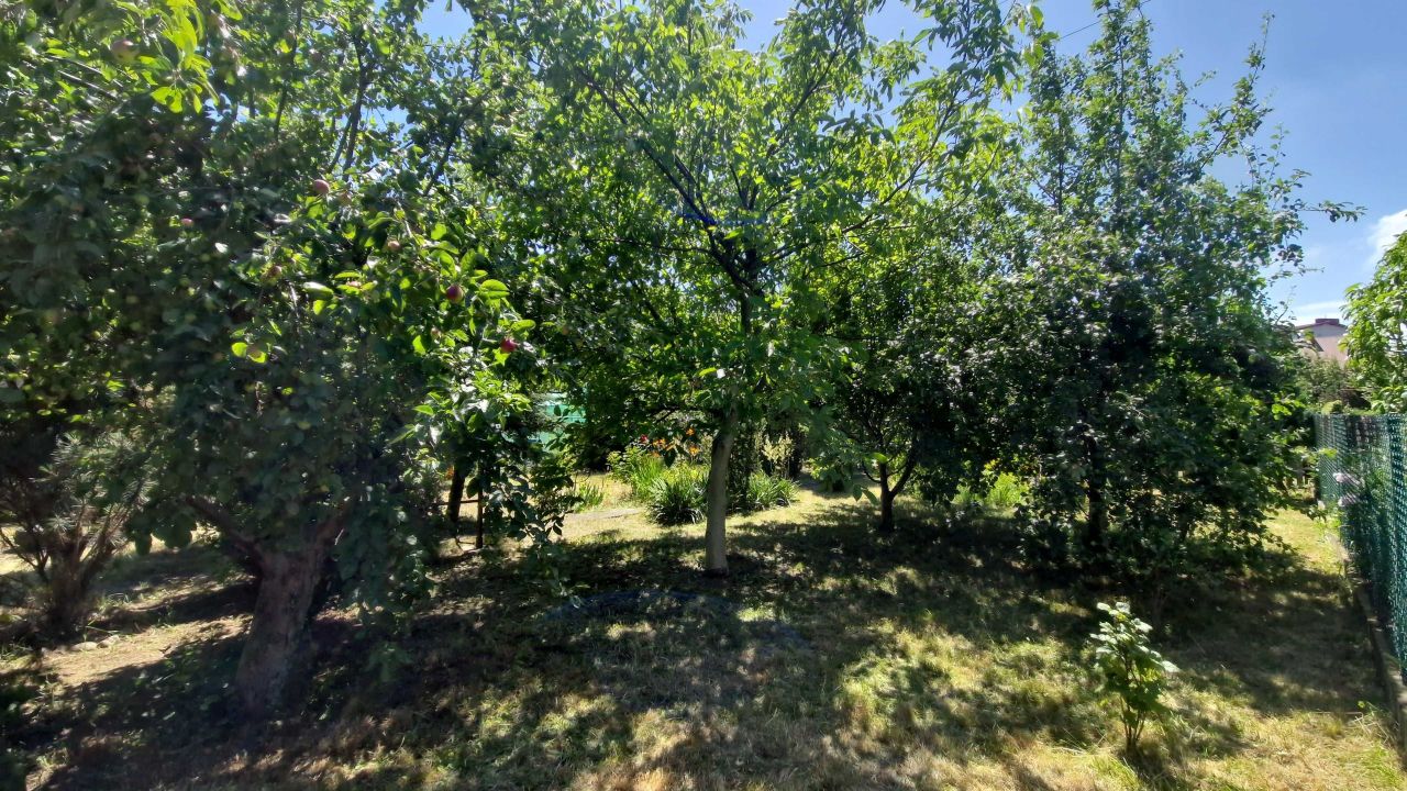 Działka rod Mielec. Zdjęcie 3