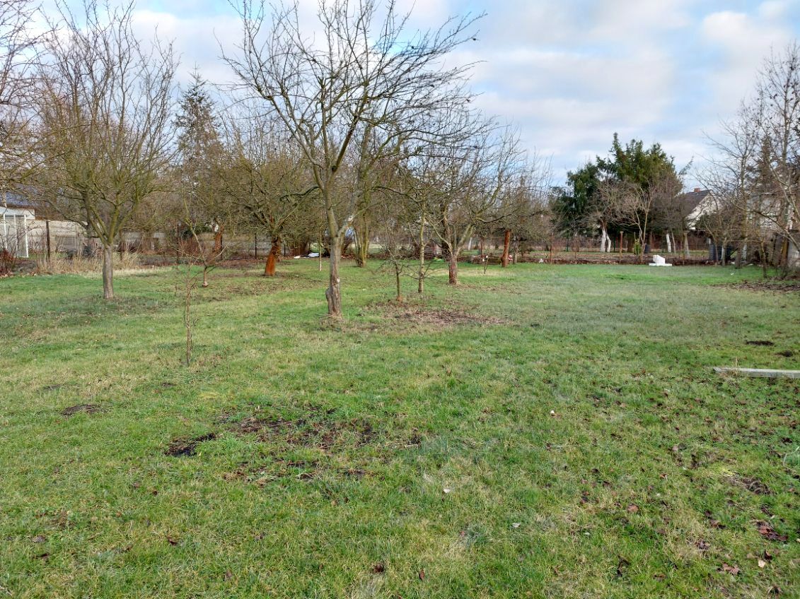 dom wolnostojący, 7 pokoi Słubice, ul. Nocznickiego. Zdjęcie 2