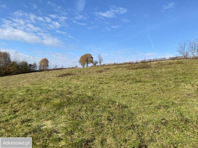 Działka rolno-budowlana Faściszowa. Zdjęcie 1