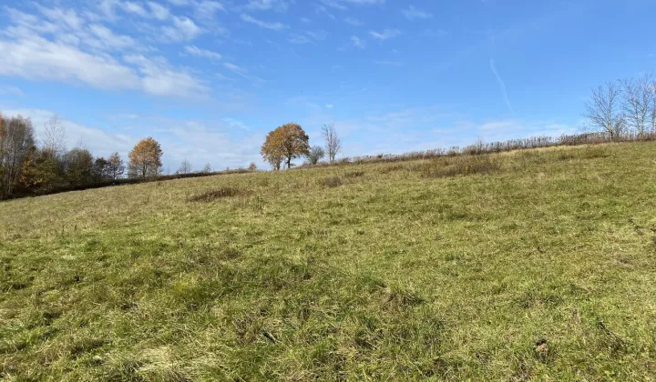 Działka rolno-budowlana Faściszowa