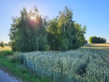 Działka rolno-budowlana Lubowidza. Zdjęcie 2