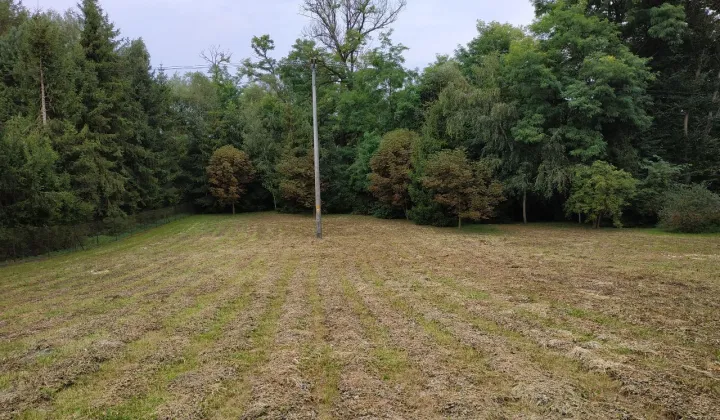 Działka budowlana Bolechowice, ul. Jurajska