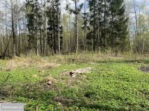 Działka Grzegrzółki. Zdjęcie 3