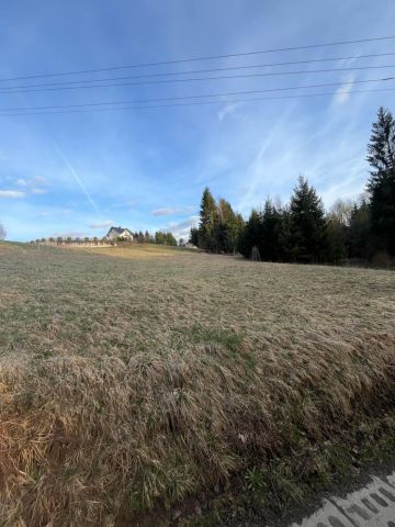 Działka rolno-budowlana Istebna. Zdjęcie 1