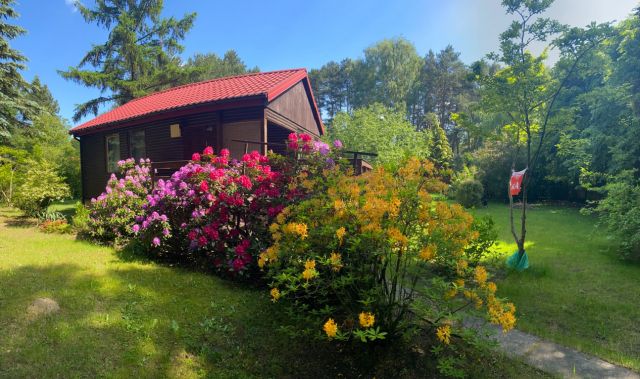 Działka rekreacyjna Wieliszew, ul. Mirabelki. Zdjęcie 1