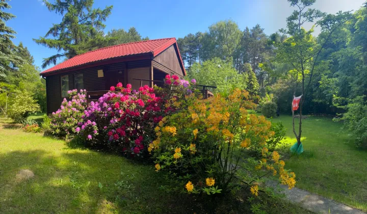 Działka rekreacyjna Wieliszew, ul. Mirabelki