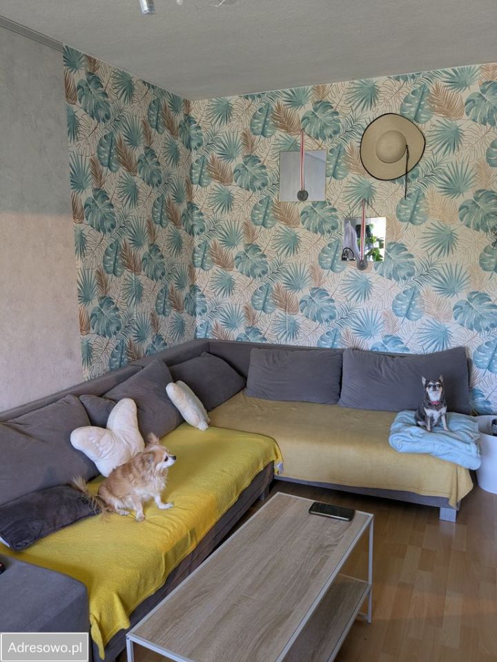 Mieszkanie 2-pokojowe Łódź Teofilów, ul. Rojna. Zdjęcie 7