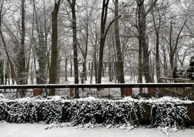 Mieszkanie 2-pokojowe Wrocław Dąbie, ul. Ludwika Pugeta. Zdjęcie 9