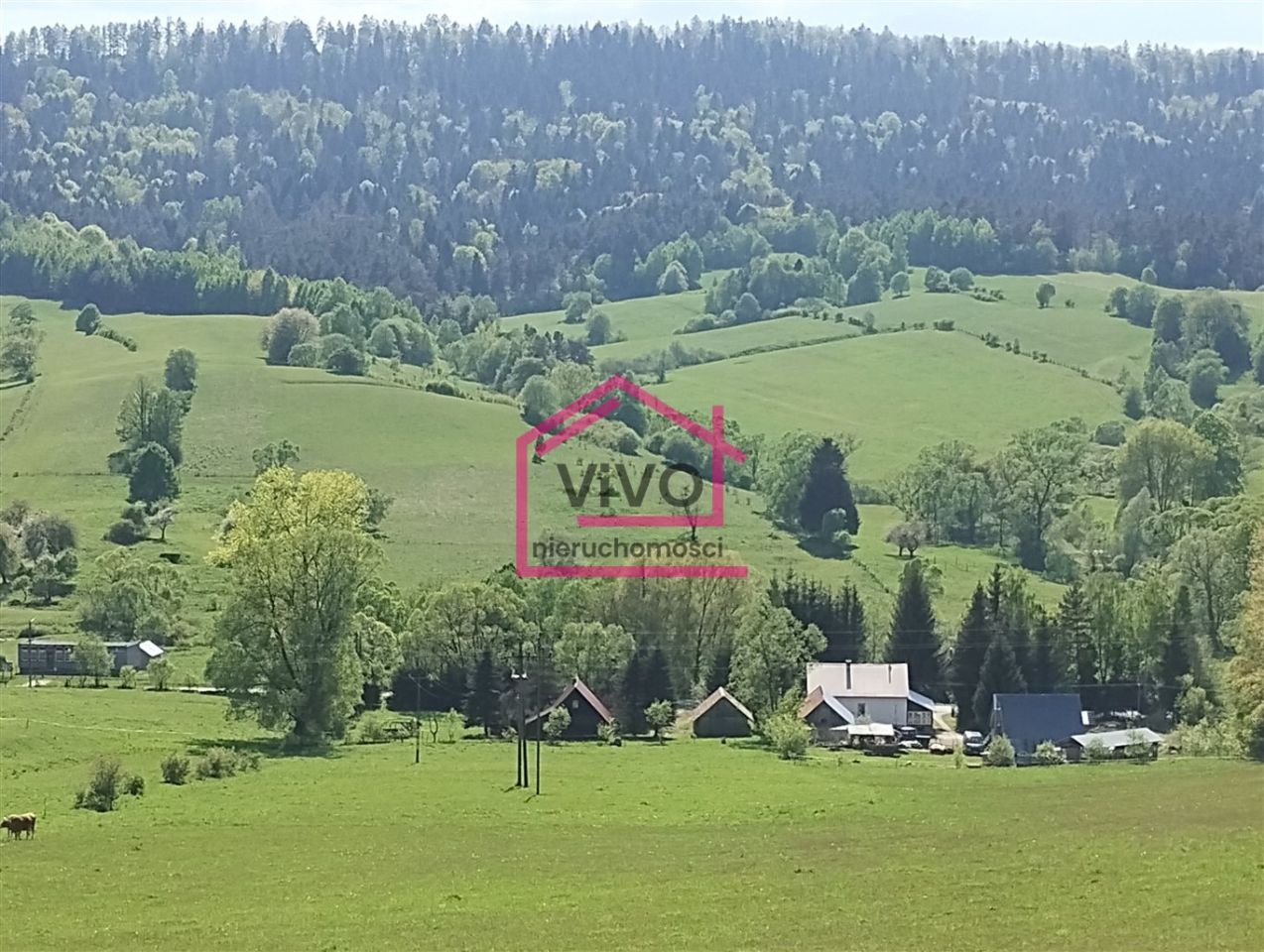 dom wolnostojący Zadwórze. Zdjęcie 3