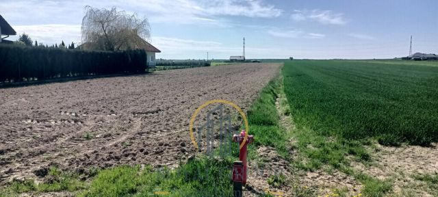 Działka budowlana Turowola-Kolonia. Zdjęcie 2