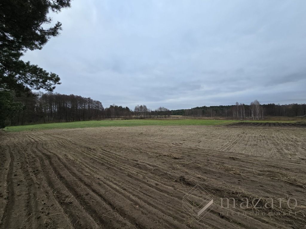 Działka rolna Drogosław. Zdjęcie 14