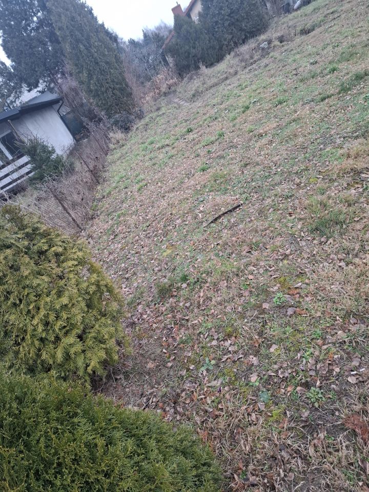 Działka rod Gorzkie Pole, ul. Starych Wierzb. Zdjęcie 3