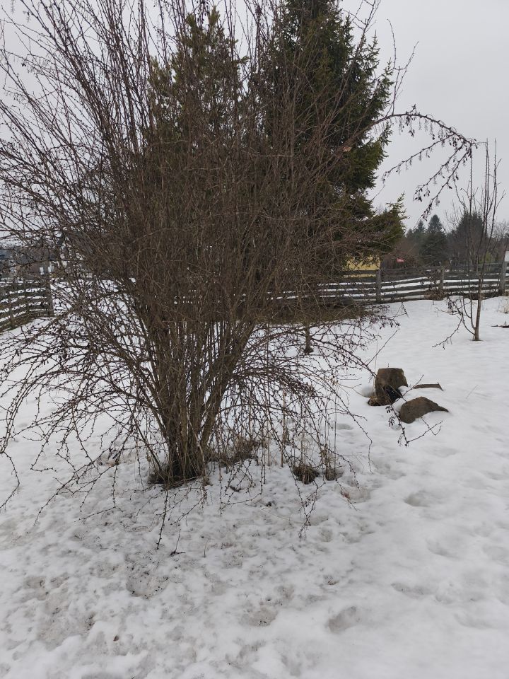 Działka rekreacyjna Chełm Wygon, ul. Bursztynowa. Zdjęcie 9