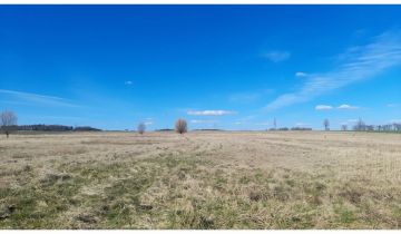 Działka budowlana Krzeczyn Wielki