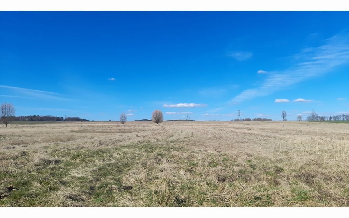 Działka budowlana Krzeczyn Wielki