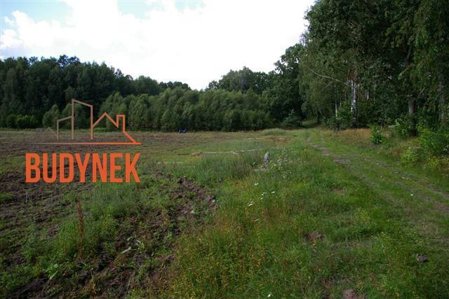 Działka rolna Lejkowo. Zdjęcie 9