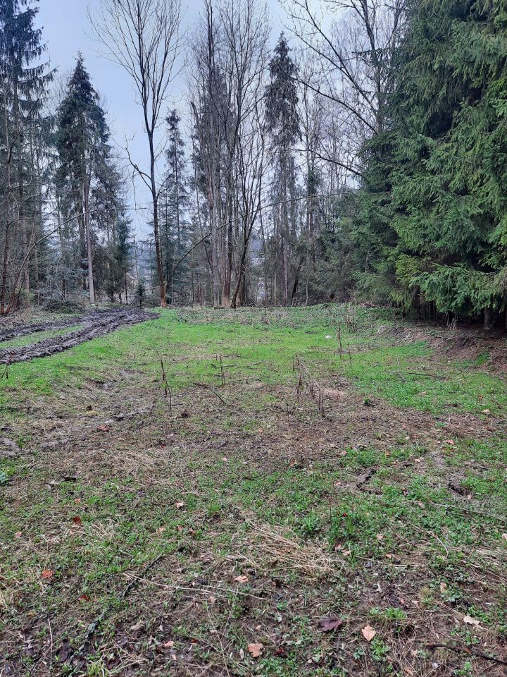 Działka rolna Białka Tatrzańska, ul. Pod Grapą. Zdjęcie 2