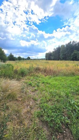 Działka budowlana Chełm Śląski, ul. Głogowa. Zdjęcie 3