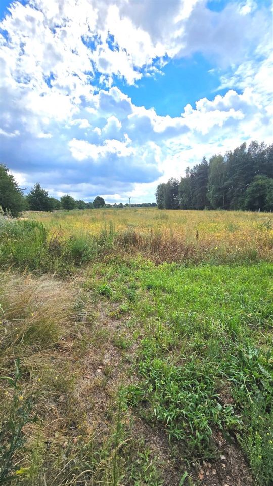 Działka budowlana Chełm Śląski, ul. Głogowa. Zdjęcie 3